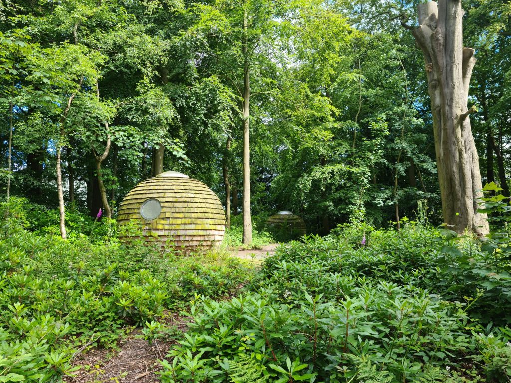 Lancaster campus woodland pods.