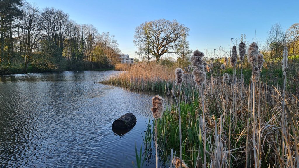 Lake Carter on campus in the winter.