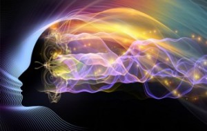 Image courtesy of Shutterstock