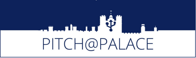 pitch-at-the-palace2