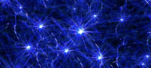 An illustration of neurons in the brain