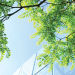 Development of sustainability in the construction industry