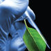 Understanding stress responses in crop plants - developing crop-specific management tools
