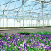 Modelling and engineering design for improved energy efficiency in an optimised grow cell