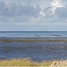 BBC Investigates Morecambe Mud