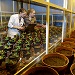 Adas: Agri Environment