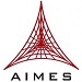 AIMES Grid Services