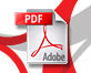 PDF icon