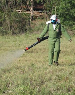 Application of chemical pesticide against armyworms on pasture