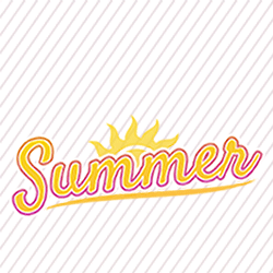 Summer Work Experience Bursary Scheme