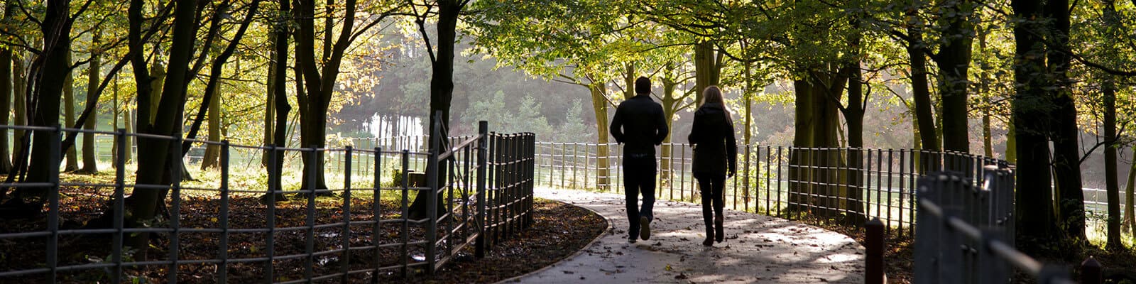 Two people walking on the woodland walk