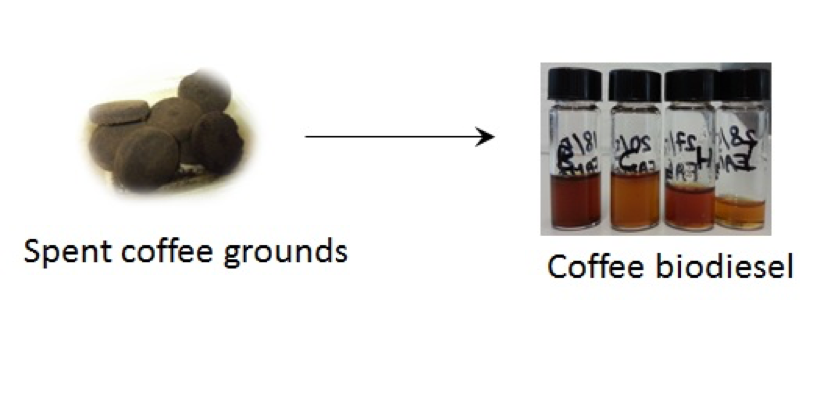 Biodiesel production from waste biomass