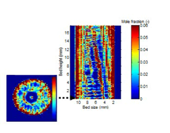 Visualization of local temperature and concentration inside packed bed reactors by near-infrared tomography