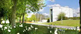 Ruskin library with daffodils in the foreground