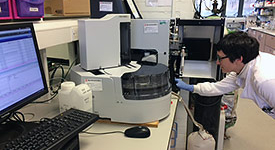 A researcher at work in a Lancaster Environment Centre lab