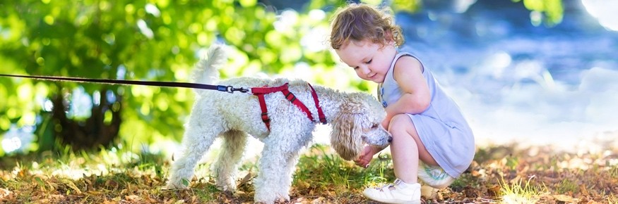 Children learn words like "woof" more easily because the sound corresponds to the meaning 