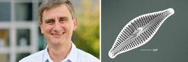 A photo montage of LEC's Professor Phil Barker and a diatom, Afrocymbella barkeri, that was named after him.