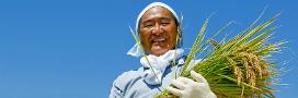 An image from LEC of a farmer against a blue sky hlding a bundle of rice palnts