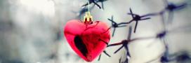 Heart on barbed wire
