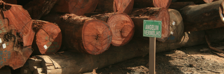 The Brazilian Amazon alone holds around 4.5 billion m3 of commercial timber volume