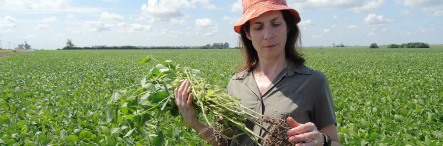 Professor Mariana Rufino studying soya on a farm in Argentina