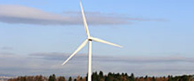 Carbon and Energy Management