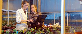 Governance of Environment & Sustainability Issues