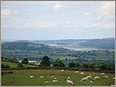 The Kent Estuary from Warth Hill