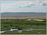 Morecambe Bay Sands from 
			Hest Bank
