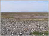 Walney Channel: mud & stones