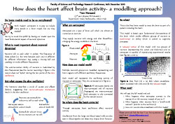 Poster thumbnail for 'How does the heart affect brain activity - a modelling approach?'