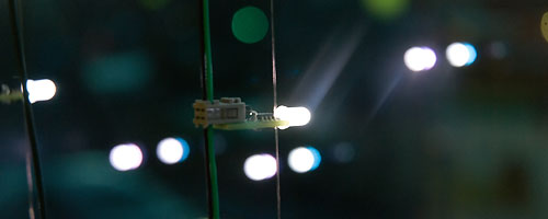 School of Computing and Communications Firely project