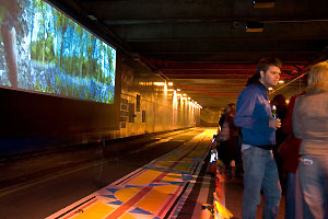 Interactive art installation 'Metamorphosis'