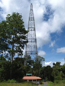 Danum Valley research station's 100 metre high tower