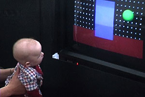 An infant participating in a study of object perception
