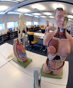 Lancaster University's Clinical Anatomy Learning Centre