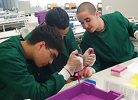 A DNA workshop from the 2006 taster day