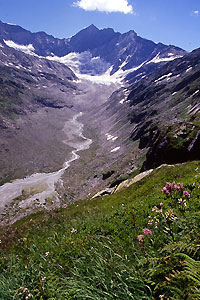 Ödenwinkelkees glacier in the Austrian Alps