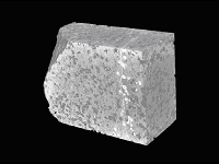 Rock sample showing high density (white) to low density (black)