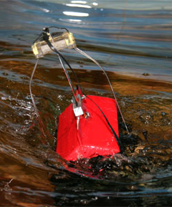 A prototype of a seabed mounted Pitching Surging Point-Absorber Wave Energy Converter on trial in LUREG's test tank