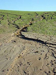 The role played by soil erosion in global change has so far been underestimated