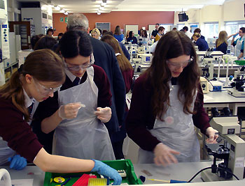 Visiting school pupils take part in a biology workshop