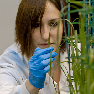 Geography and Environmental Science at Lancaster has risen to fourth in the UK
