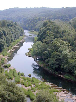 The river Eden: courtesy of the Eden Rivers Trust