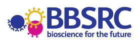 The DTP is one of 14 across the UK funded by the Biotechnology and Biological Sciences Research Council