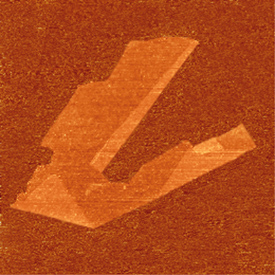 Atomic force microscope image of a graphene molecule - only one atom thick but containing many billions of carbon atoms (image: University of Manchester)