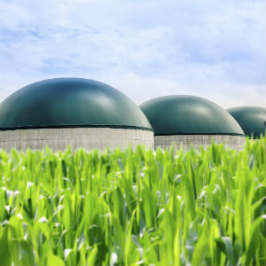 Anaerobic digestion vessels