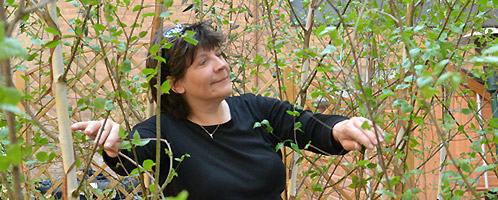 Professor Barbara Maher with the trees used in the BBC experiment