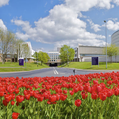 Lancaster University
