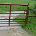 Farming pollution study offers unexpected clue to flooding